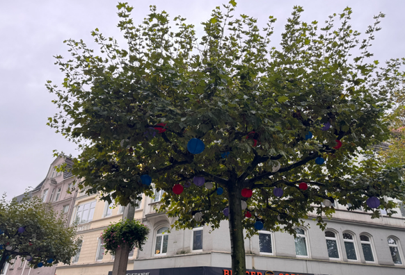 Ein Laubbaum mit dichter, ausladender Krone steht im Vordergrund einer städtischen Straße. Zwischen den grünen Blättern hängen runde, farbige Lampions in Blau, Rot und Weiß. Im Hintergrund sind mehrstöckige Gebäude mit hellen Fassaden und großen Fenstern zu sehen. Der Himmel ist bewölkt.