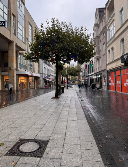 Eine gepflasterte Fußgängerzone mit Geschäften auf beiden Seiten. Ein Baum steht mittig auf dem Gehweg, dessen Blätter grün sind. Die Schaufenster zeigen verschiedene Waren und sind beleuchtet. Die Straße ist nass, was auf Regen hindeutet. Einige Menschen gehen oder stehen entlang der Ladenzeile. Die Gebäude sind mehrstöckig und haben große Fenster.