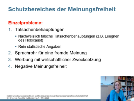 Schutzbereich der Meinungsfreiheit