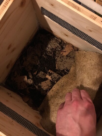 Blick in die Wurmkiste unter die Hanfmatte. Zu sehen ist ein Gemisch aus Erde, aufgeweichter Karton und Würmern.
