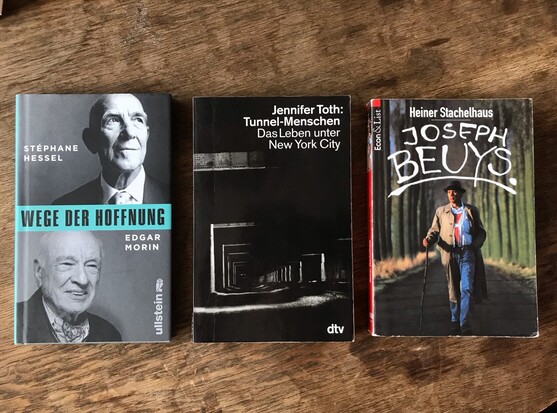 Drei Bücher:

1. Stéphane Hessel und Edgar Morin - Wege der Hoffnung aus dem ullstein Verlag.

2. Jennifer Toth: Tunnel-Menschen. Das Leben unter New York City

3. Heiner Stachelhaus- Joseph Beuys
